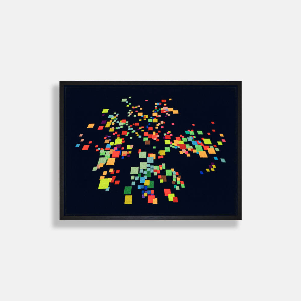 Miguel Chevalier  - Pixels en lévitation
