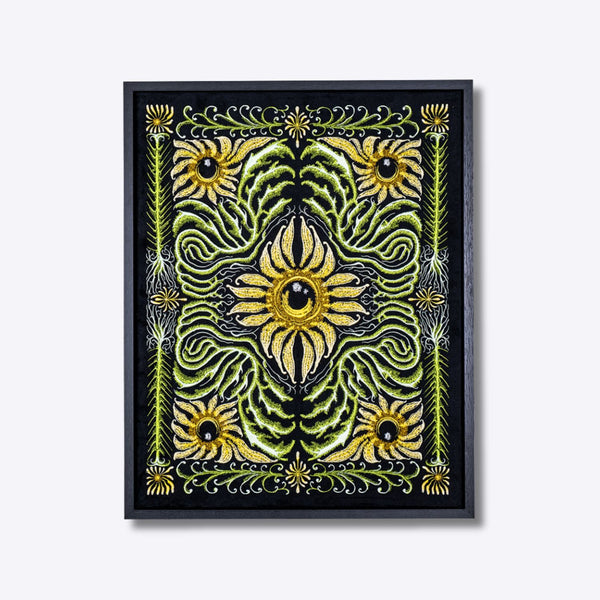 Oeillet marguerite